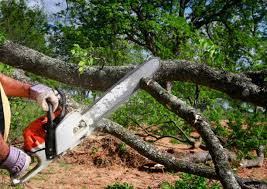 Mulching Services in Midland, PA